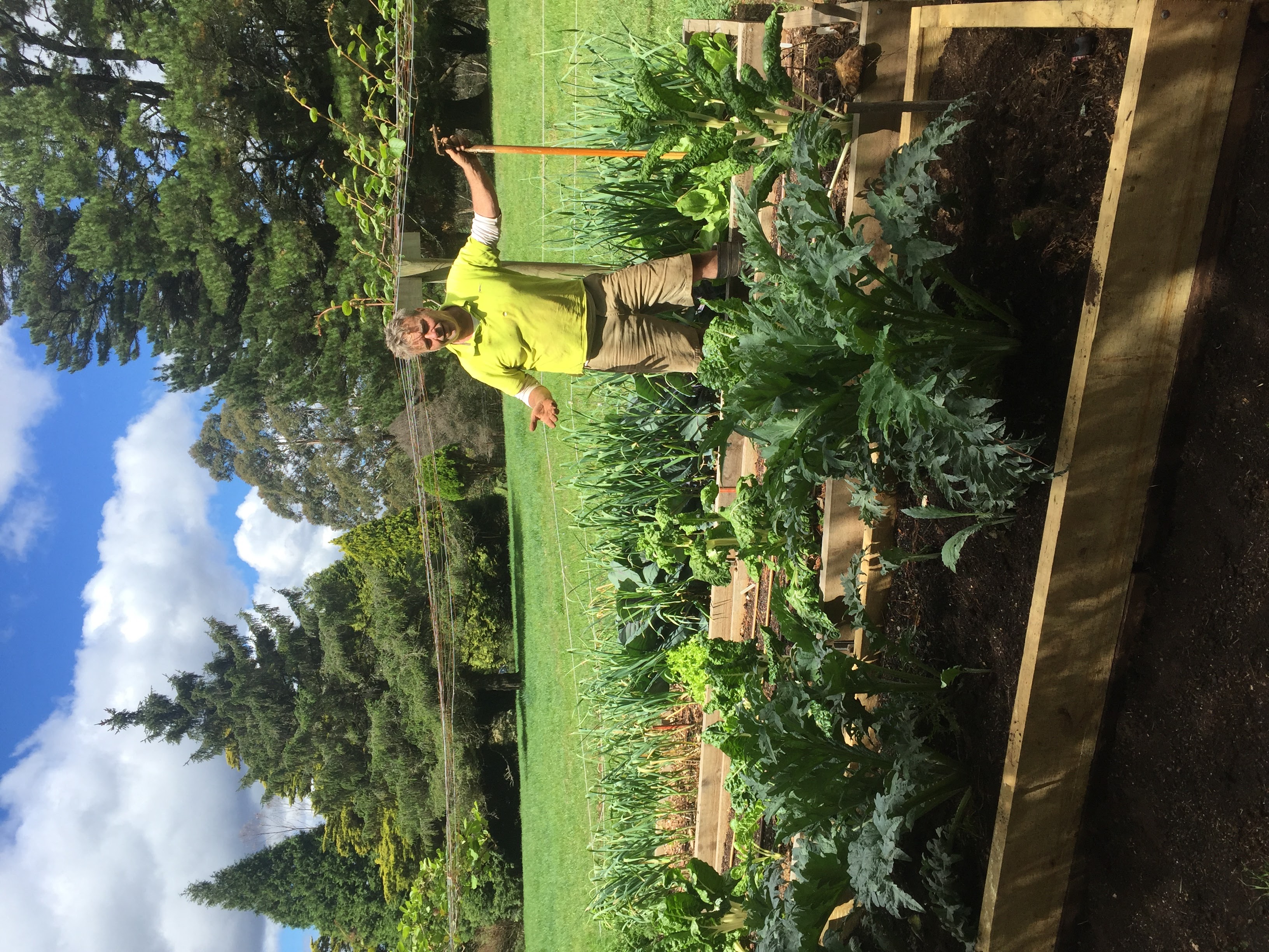 Vegetbe Garden Mosman.