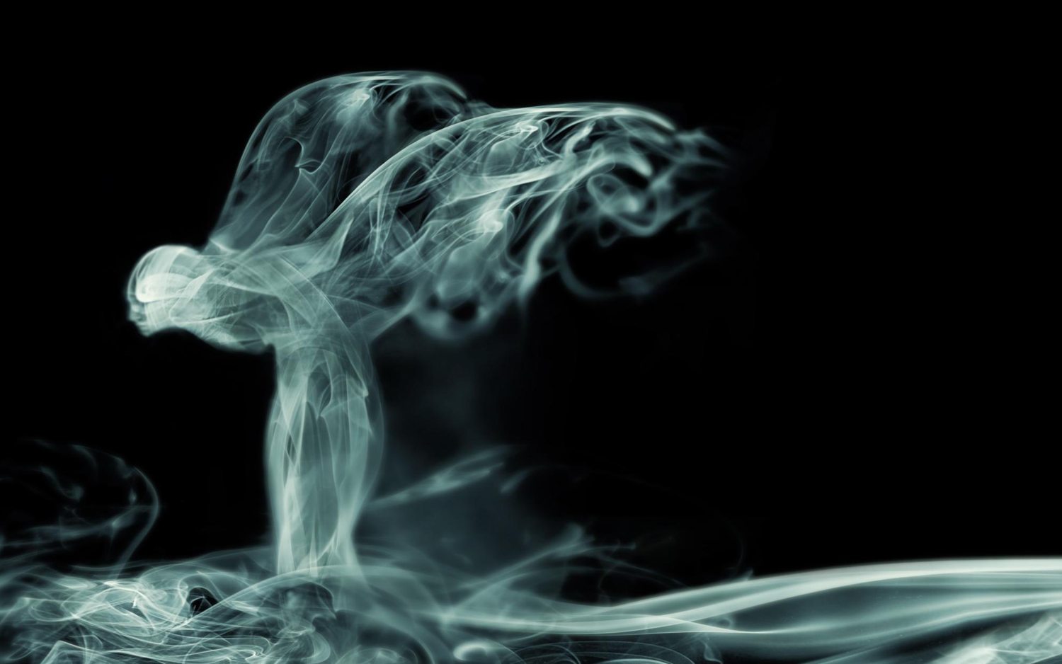 Vegetbe Garden Mosman.